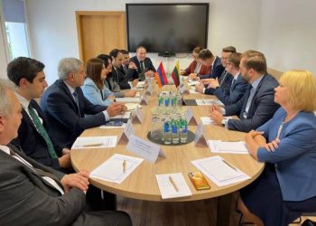 Министры здравоохранения Армении и Литвы обсудили вопросы сотрудничества