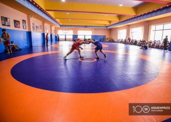 Армянские борцы завоевали 4 медали на юношеском ЧЕ