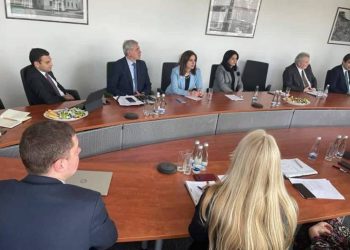 Анаит Аванесян встретилась с директором Национального фонда медицинского страхования Литвы