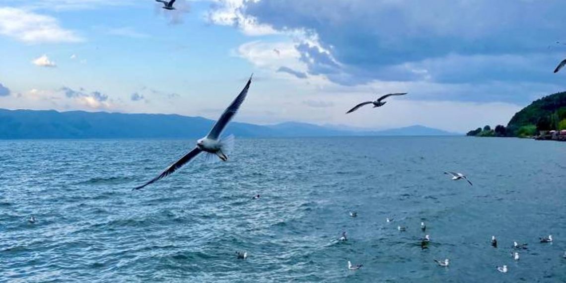 В мае уровень воды озера Севан поднялся на 18 сантиметров