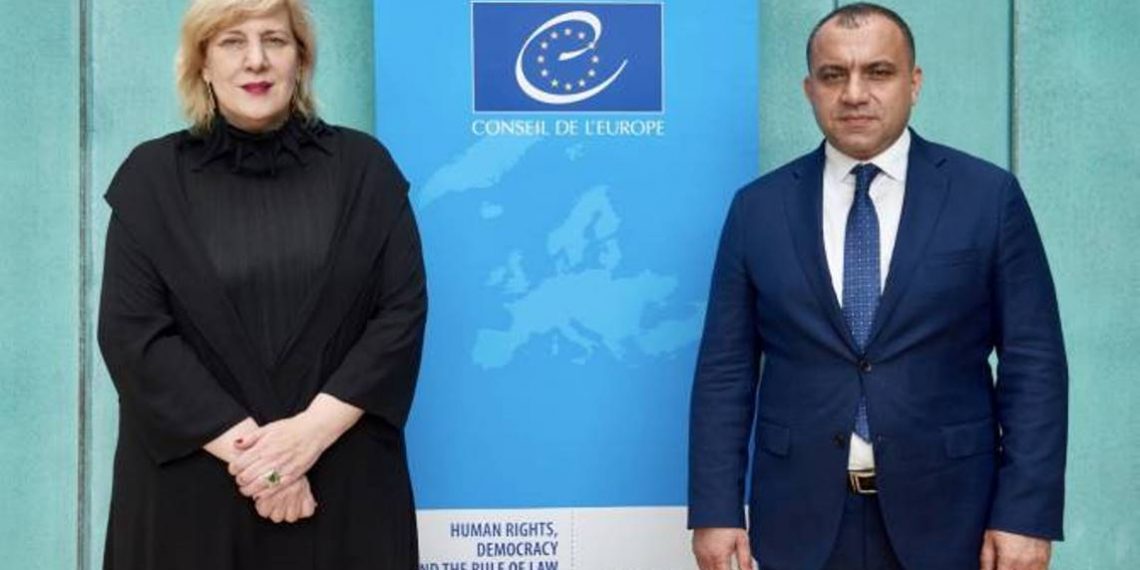 Председатель Конституционного суда Армении встретился в Страсбурге с  комиссаром Совета Европы по правам человека