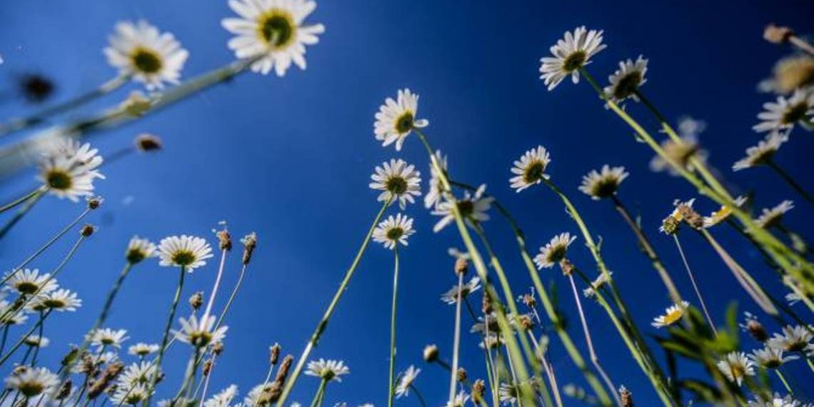 Температура воздуха в Армении повысится на 6-9 градусов