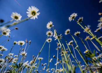 Температура воздуха в Армении повысится на 6-9 градусов