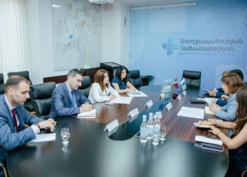 Анаит Аванесян и постоянный представитель ПРООН обсудили вопросы сотрудничества