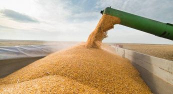 Запрещен вывоз зерна с территории Республики Арцах