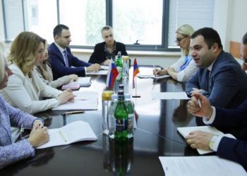 Замминистров НОКС Армении и Науки и высшего образования РФ обсудили возможности новых совместных армяно-российских программ