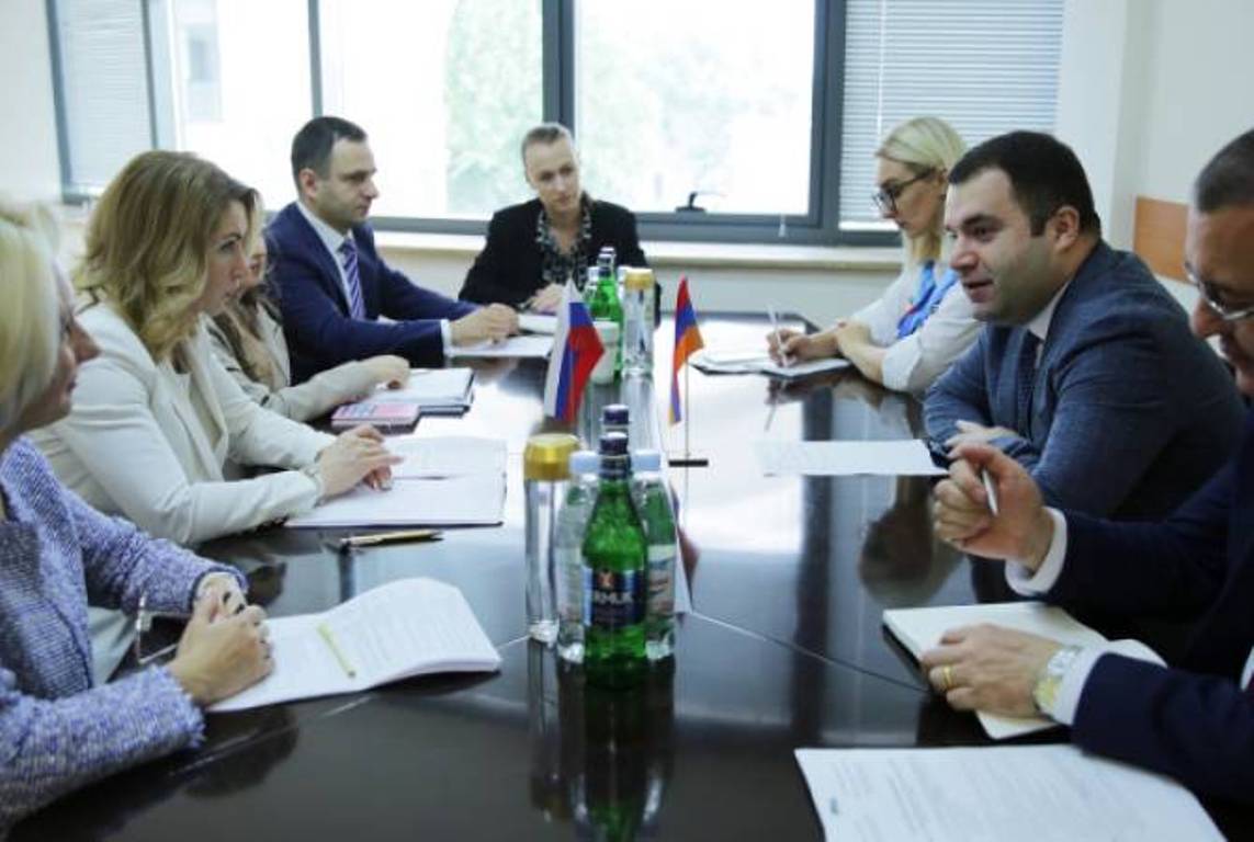Замминистров НОКС Армении и Науки и высшего образования РФ обсудили возможности новых совместных армяно-российских программ