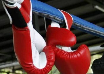 Отсрочкой призыва на военную службу воспользуются и чемпионы мира по профессиональному боксу и ММА