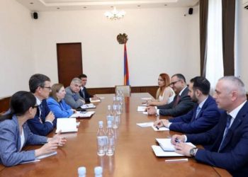 Посол США выразила готовность содействовать долгосрочным стратегическим реформам правительства Армении