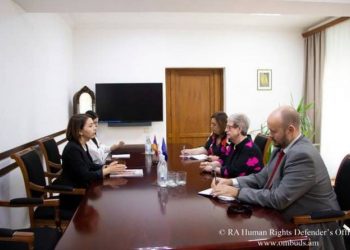Омбудсмен Армении и Андреа Викторин обсудили возможности оказания помощи пострадавшим от азербайджанских нападений