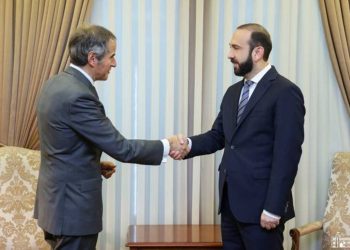 Арарат Мирзоян принял генерального директора МАГАТЭ Рафаэля Мариано Гросси