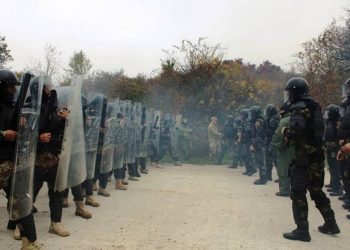 Армянские миротворцы в Германии участвуют в международных учениях