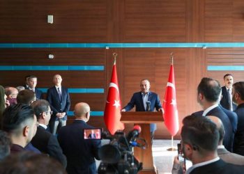 Чавушоглу настраивает турецкую общину Франции против армянской диаспоры