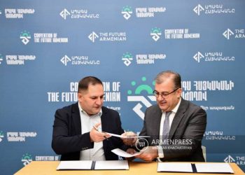 Платформа сотрудничества для армянства всего мира