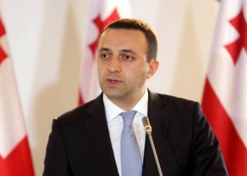 Мы продолжим поддерживать политику мира: Ираклий Гарибашвили