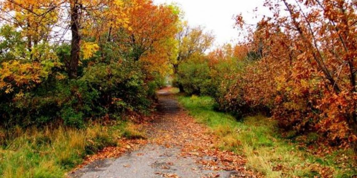 В Армении ожидается преимущественно погода без осадков, температура воздуха существенно не изменится