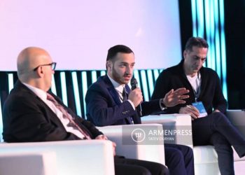 Мхитар Айрапетян видит необходимость эффективных механизмов раскрытия потенциала диаспоры