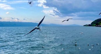 Уровень воды озера Севан ниже