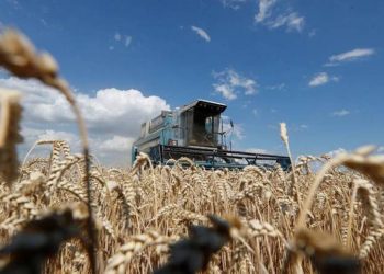 В Армении будет проведена «сельскохозяйственная перепись»