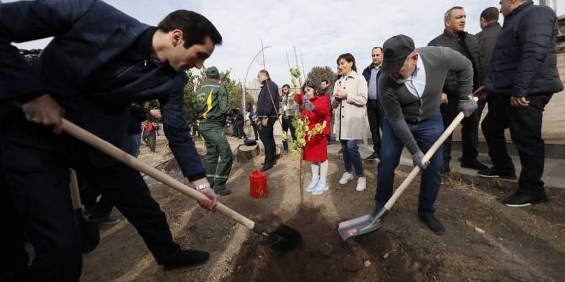 Никол Пашинян принял участие в посадке деревьев