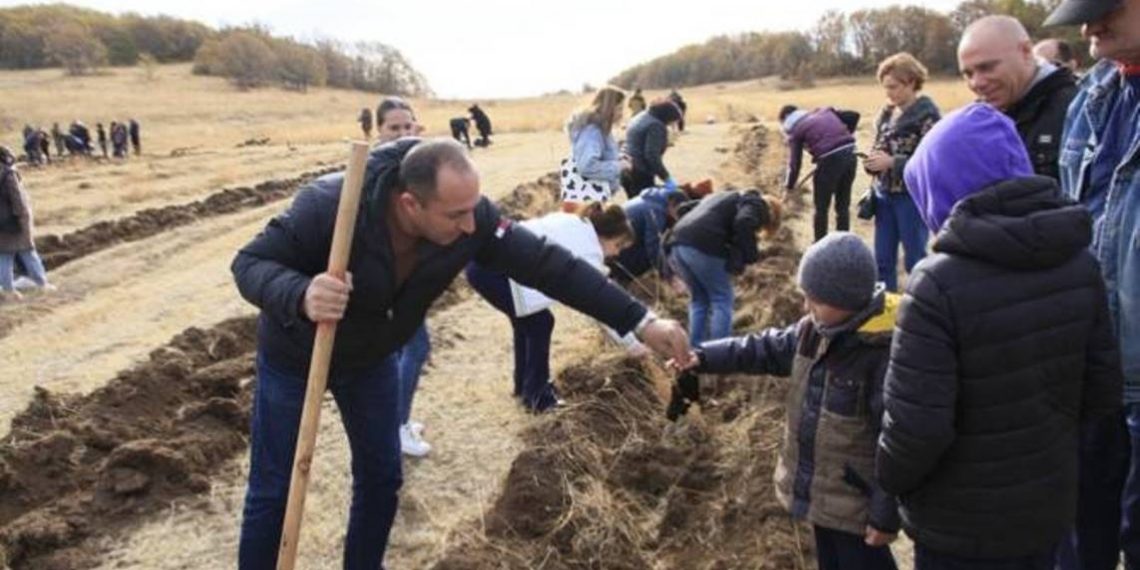 В Армении 5 ноября было посажено около 130 га деревьев — 451 тыс. саженцев