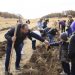 В Армении 5 ноября было посажено около 130 га деревьев — 451 тыс. саженцев