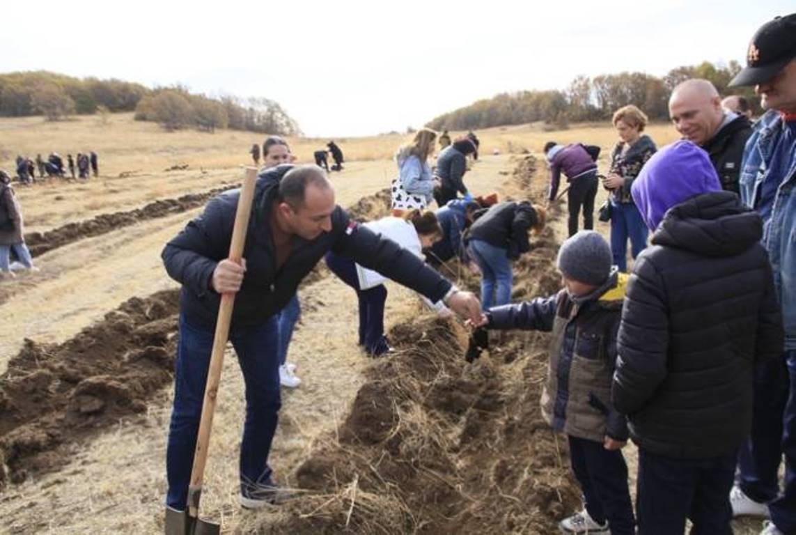 В Армении 5 ноября было посажено около 130 га деревьев —  451 тыс. саженцев