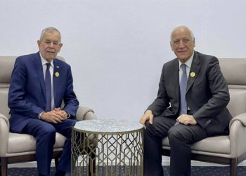 Президент Армении встретился с федеральным президентом Австрии