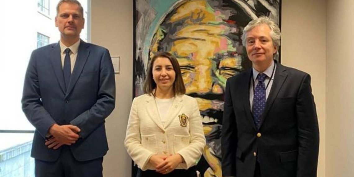 Омбудсмен Армении встретилась с федеральными посредниками Омбудсмена Бельгии