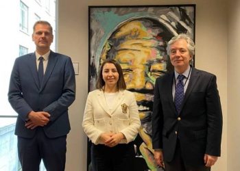 Омбудсмен Армении встретилась с федеральными посредниками Омбудсмена Бельгии