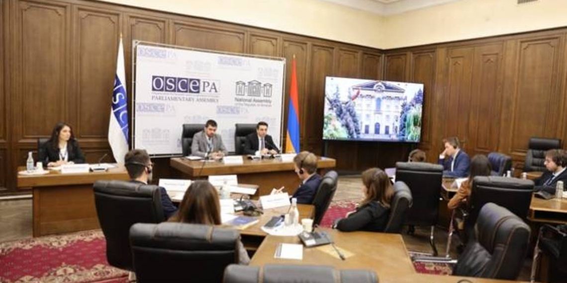 Мы привержены мирной повестке. Спикер НС Армении выступил на заседании молодых депутатов ПА ОБСЕ