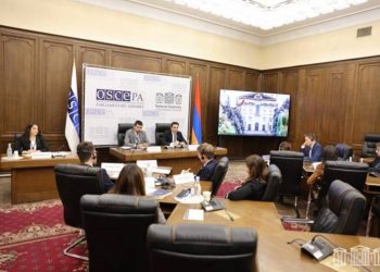 Мы привержены мирной повестке. Спикер НС Армении выступил на заседании молодых депутатов ПА ОБСЕ