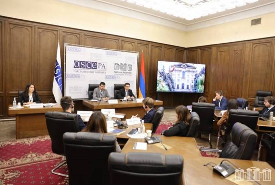 Мы привержены мирной повестке. Спикер НС Армении выступил на заседании молодых депутатов ПА ОБСЕ
