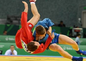 Армянские самбисты на чемпионате мира завоевали 1 серебряную и 1 бронзовую медали