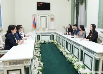 Заместитель генерального прокурора Армении обсудила с коллегами СЕ перспективы развития сотрудничества