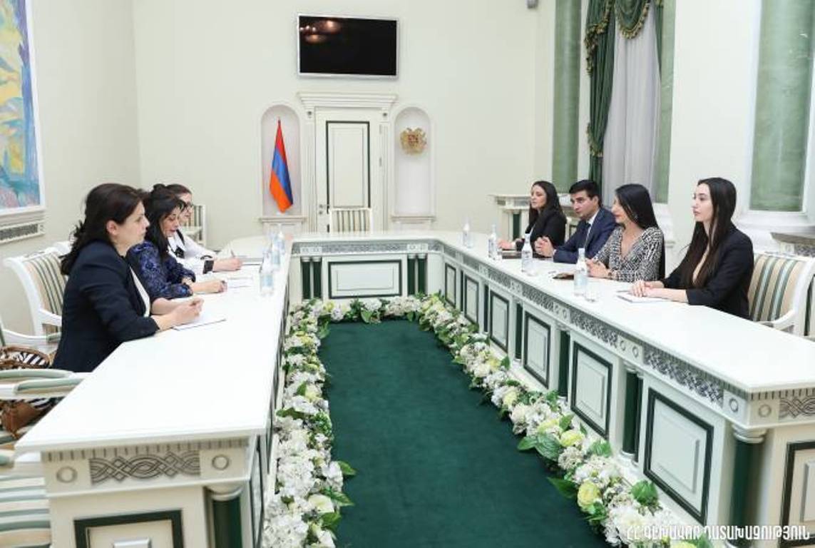 Заместитель генерального прокурора Армении обсудила с коллегами СЕ перспективы развития сотрудничества