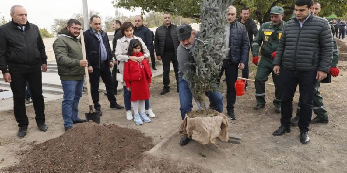 Никол Пашинян принял участие в посадке деревьев