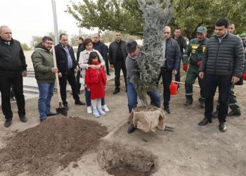 Никол Пашинян принял участие в посадке деревьев