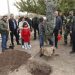 Никол Пашинян принял участие в посадке деревьев