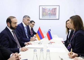 Встреча министра ИД Республики Армения с вице-премьером, министром ИД Республики Словения