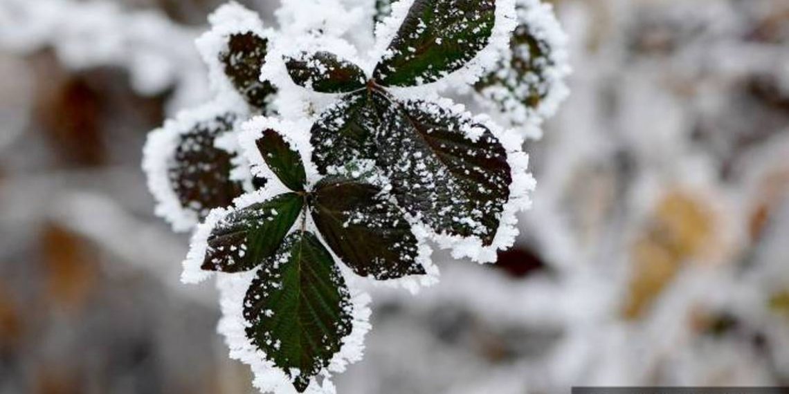 В ближайшие дни на территории республики ожидаются осадки, в горных районах — в виде снега