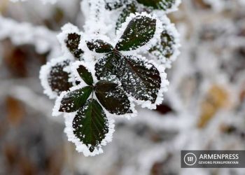 В ближайшие дни на территории республики ожидаются осадки, в горных районах — в виде снега