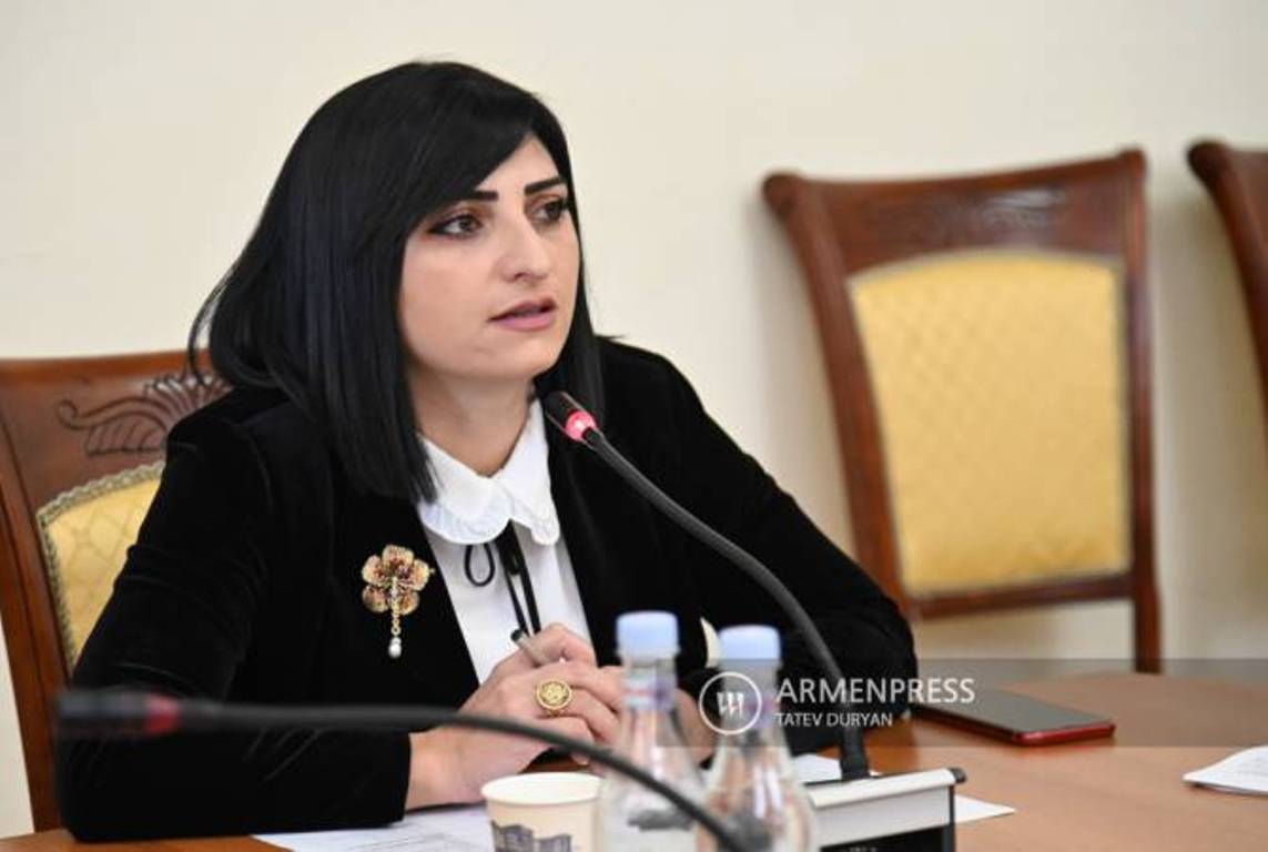 Депутат НС Армении сообщила в международные структуры о ситуации с пленным Вигеном Эулджекяном