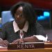 Кения призвала к свободе передвижения и безопасности вдоль Лачинского коридора