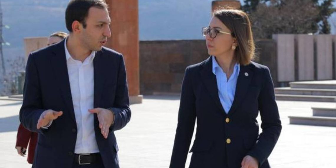 Правозащитники Армении и Арцаха представили новые факты об участниках фейковой экологической акции в совместном отчете