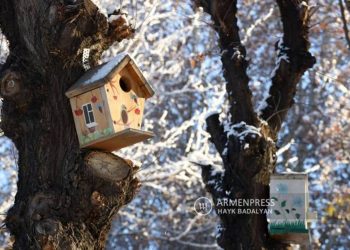 В ближайшие дни температура воздуха в Армении постепенно повысится на 8-10 градусов