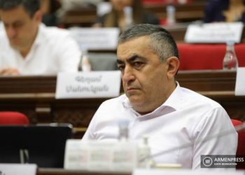Депутат НС предлагает создать единый центр для защиты армян Арцаха