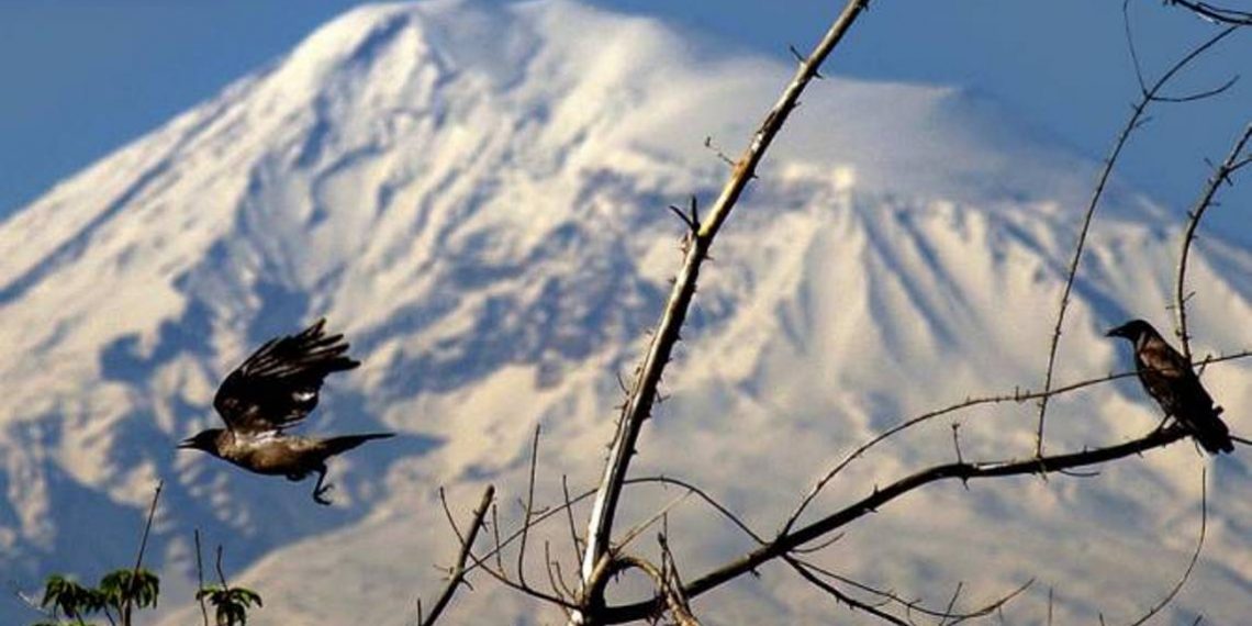 В Армении в течение последующих нескольких дней осадков не ожидается