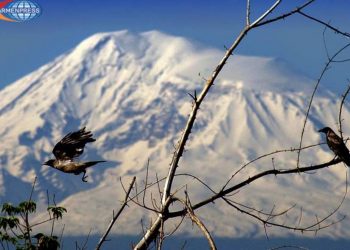 В Армении в течение последующих нескольких дней осадков не ожидается