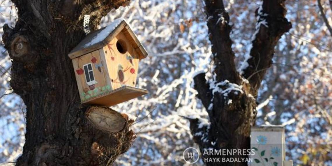 В ближайшие дни на территории Армении осадков не ожидается